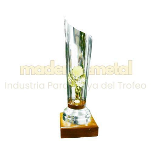 Imagen de Trofeo de metal - M1.910
